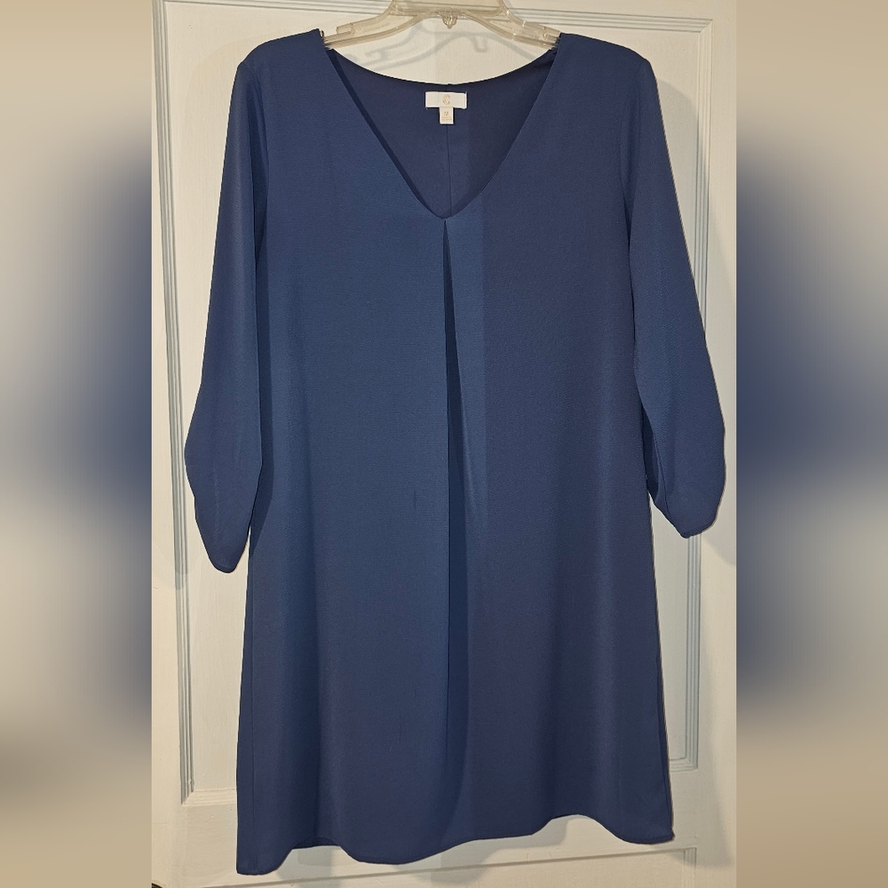 Charming Charlie Shift Dress